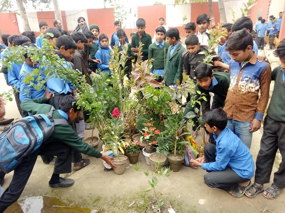 Green Seekers Activity